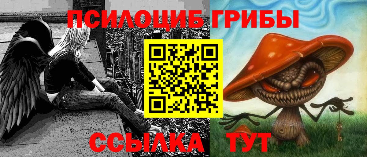 Псилоцибиновые грибы Psilocybe  Вход с VPN  Янаул 
